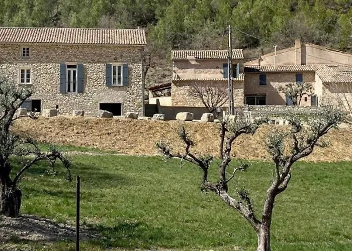 Entre Lavande Et Oliviers
