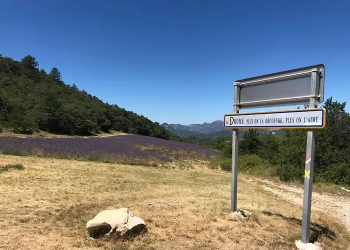 Entre Lavande Et Oliviers